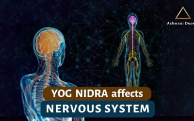 The Science of Yoga Nidra: How It Affects Your Brain and Nervous System